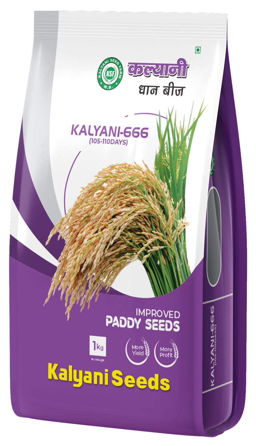 kalyani paddy seeds