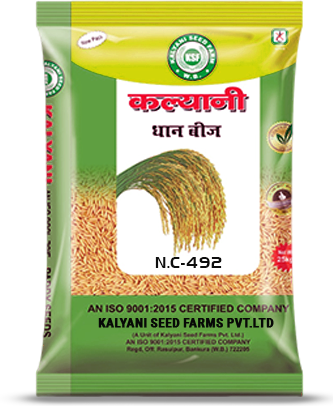 Kalyani Paddy Seeds