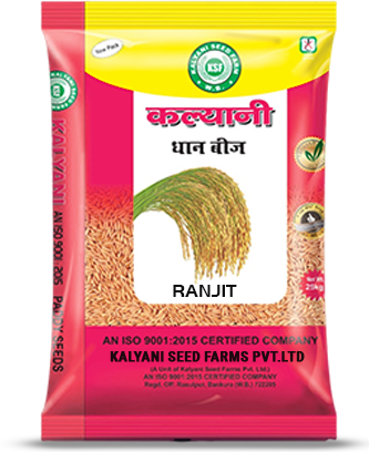 Kalyani Paddy Seeds