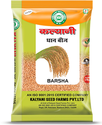 Kalyani Paddy Seeds