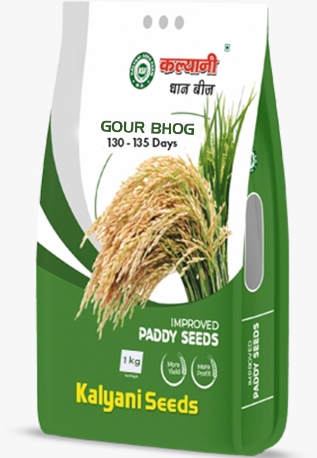 kalyani paddy seeds
