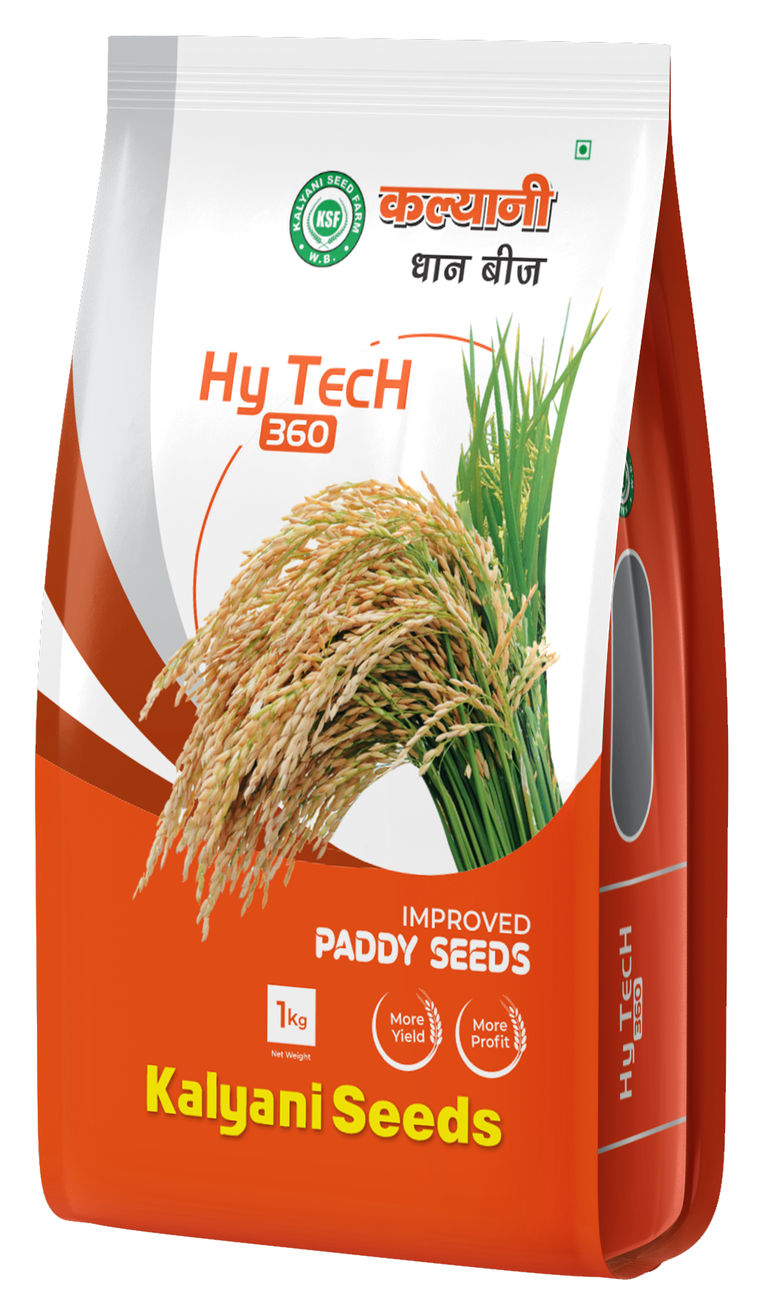 kalyani paddy seeds