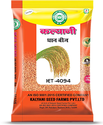Kalyani Paddy Seeds