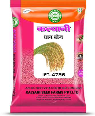 Kalyani Paddy Seeds