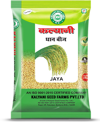 Kalyani Paddy Seeds