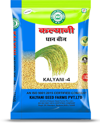 Kalyani Paddy Seeds