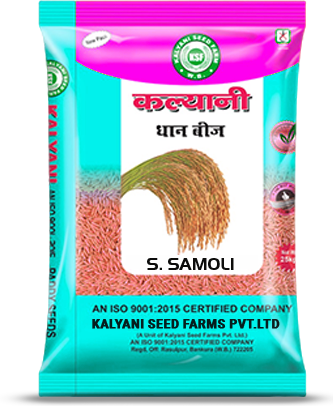 Kalyani Paddy Seeds