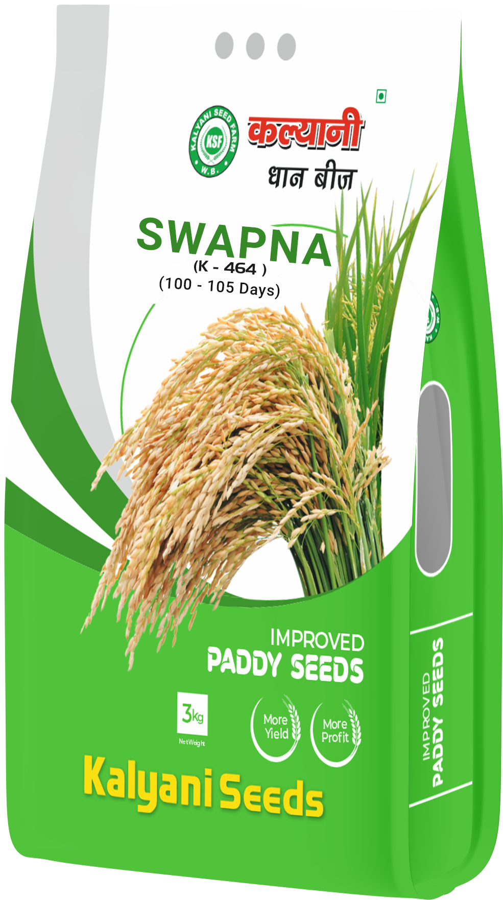 swapna paddy seeds