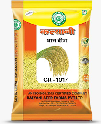 Kalyani Paddy Seeds