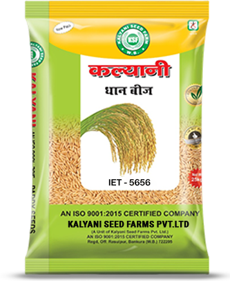 Kalyani Paddy Seeds