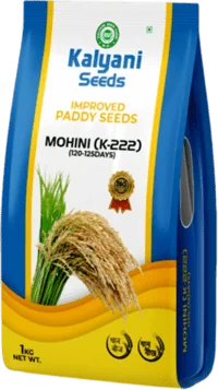 product_font_image
