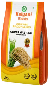 product_font_image