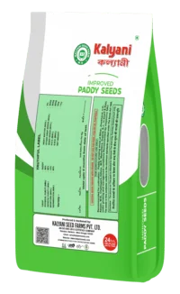 product_back_image